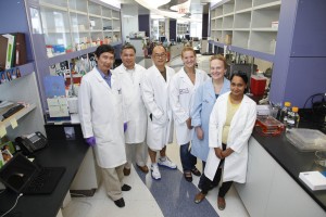 TDI_als-team